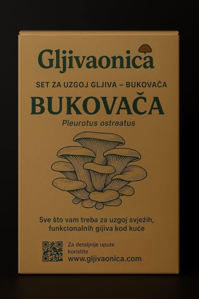 Set za uzgoj gljive bukovače