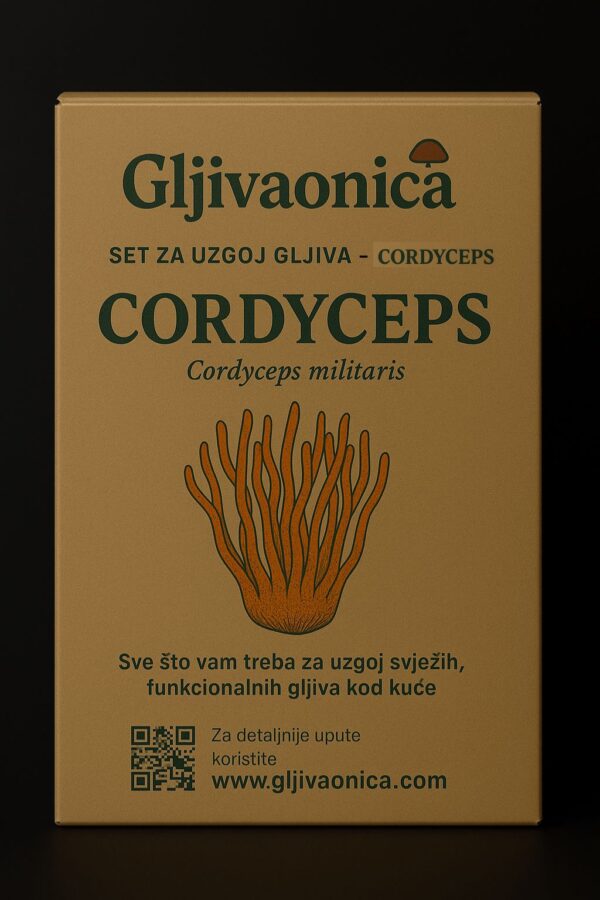 Set za uzgoj gljive Cordyceps