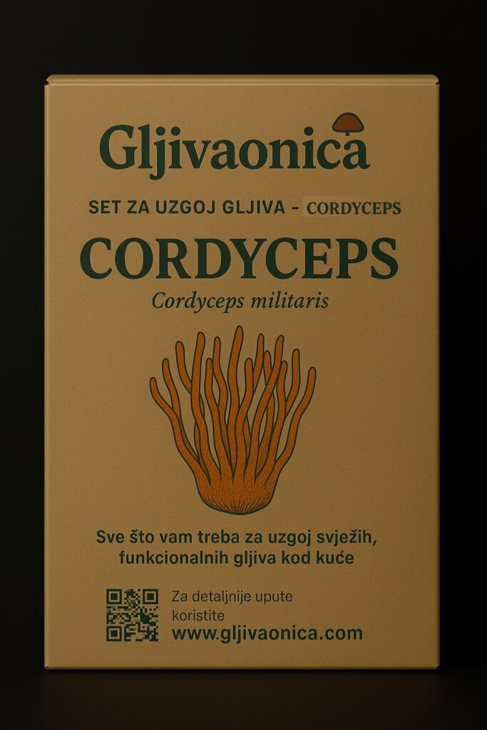 Set za uzgoj gljive Cordyceps