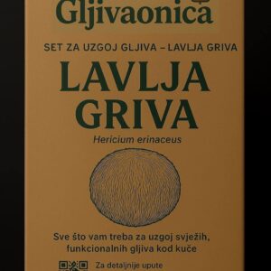 Set za uzgoj gljiva - lavlja griva (lion's mane)