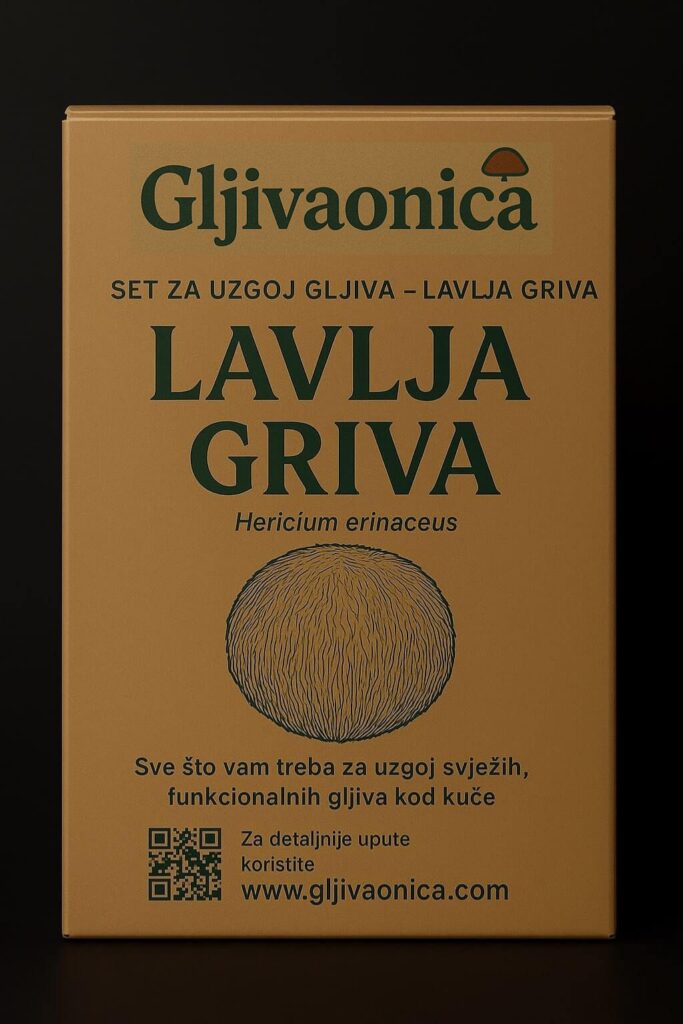 Set za uzgoj gljiva - lavlja griva (lion's mane)